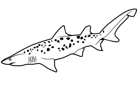 Sand Tiger Shark Coloring Page